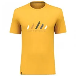 SALEWA Pure Stripes Dry T-Shirt - Funktionsshirt -Funktionsshirts Verkaufsgeschäft salewa pure stripes dry t shirt funktionsshirt 3